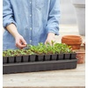 image:imageBurpee SelfWatering Seed Starter Tray 72 Cells72 Cell Self Watering Kit