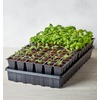image:imageBurpee SelfWatering Seed Starter Tray 72 Cells72 Cell Self Watering Kit