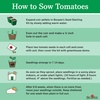 image:imageBurpee Super Sweet 100 Hybrid Cherry Tomato 50 NonGMO SeedsChadwick Cherry Organic