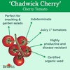 image:imageBurpee Super Sweet 100 Hybrid Cherry Tomato 50 NonGMO SeedsChadwick Cherry Organic