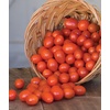 image:imageBurpee Super Sweet 100 Hybrid Cherry Tomato 50 NonGMO SeedsNapa Grape