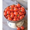 image:imageBurpee Super Sweet 100 Hybrid Cherry Tomato 50 NonGMO SeedsNapa Grape