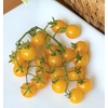 image:imageBurpee Super Sweet 100 Hybrid Cherry Tomato 50 NonGMO SeedsYellow Currant