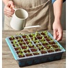 image:imageBurpee SuperSeed Seed Starting Tray  36 Cell Reusable Seed Starter Tray  for Starting Vegetable Flower amp Herb Seeds  Indoor Grow Kit for Plant Seedlings  for Germination Success36 Cells