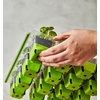 image:imageBurpee SuperSeed Seed Starting Tray  36 Cell Reusable Seed Starter Tray  for Starting Vegetable Flower amp Herb Seeds  Indoor Grow Kit for Plant Seedlings  for Germination Success16 Cells