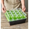 image:imageBurpee SuperSeed Seed Starting Tray  36 Cell Reusable Seed Starter Tray  for Starting Vegetable Flower amp Herb Seeds  Indoor Grow Kit for Plant Seedlings  for Germination Success16 Cells