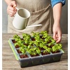 image:imageBurpee SuperSeed Seed Starting Tray  36 Cell Reusable Seed Starter Tray  for Starting Vegetable Flower amp Herb Seeds  Indoor Grow Kit for Plant Seedlings  for Germination Success16 Cells