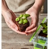 image:imageBurpee SuperSeed Seed Starting Tray  36 Cell Reusable Seed Starter Tray  for Starting Vegetable Flower amp Herb Seeds  Indoor Grow Kit for Plant Seedlings  for Germination Success16 Cells