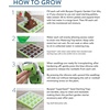 image:imageBurpee SuperSeed Seed Starting Tray  36 Cell Reusable Seed Starter Tray  for Starting Vegetable Flower amp Herb Seeds  Indoor Grow Kit for Plant Seedlings  for Germination Success16 Cells