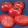 image:imageBurpee Supersteak Hybrid  Large Red Beefsteak Slicing Tomato  125 Seeds125 seeds