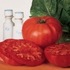 image:imageBurpee Supersteak Hybrid  Large Red Beefsteak Slicing Tomato  125 Seeds125 seeds
