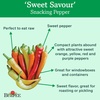 image:imageBurpee Sweet Savour Hybrid Sweet Pepper Seeds 25 seeds