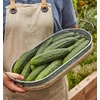 image:imageBurpee Sweet Success Slicing Cucumber Seeds 20 NonGMO seedsMarketmore