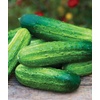 image:imageBurpee Sweet Success Slicing Cucumber Seeds 20 NonGMO seedsPickABushel