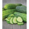 image:imageBurpee Sweet Success Slicing Cucumber Seeds 20 NonGMO seedsStraight Eight