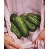 image:imageBurpee Sweet Success Slicing Cucumber Seeds 20 NonGMO seedsSupremo