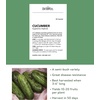 image:imageBurpee Sweet Success Slicing Cucumber Seeds 20 NonGMO seedsSupremo