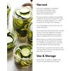 image:imageBurpee Sweet Success Slicing Cucumber Seeds 20 NonGMO seedsSupremo