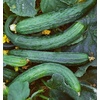 image:imageBurpee Sweet Success Slicing Cucumber Seeds 20 NonGMO seedsSuyo Long