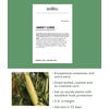 image:imageBurpee Sweetness Sweet Corn Seeds  Tender Sweet Corn Variety for Outdoor Vegetable Gardening 200 Seeds