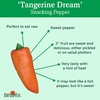 image:imageBurpee Tangerine Dream Sweet Pepper Seeds 30 seeds