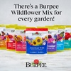 image:imageBurpee Wildflower 25000 Bulk 1 Bag 18 Varieties of NonGMO Flower Seeds Pollinator Garden Pollinator MixAmerican Wild