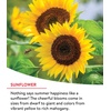 image:imageBurpee Wildflower 25000 Bulk 1 Bag 18 Varieties of NonGMO Flower Seeds Pollinator Garden Pollinator MixFast Blooming Mix