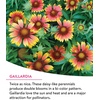 image:imageBurpee Wildflower 25000 Bulk 1 Bag 18 Varieties of NonGMO Flower Seeds Pollinator Garden Pollinator MixMonarch Sanctuary Mix