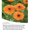 image:imageBurpee Wildflower 25000 Bulk 1 Bag 18 Varieties of NonGMO Flower Seeds Pollinator Garden Pollinator MixPerennial Mix