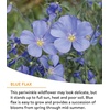 image:imageBurpee Wildflower 25000 Bulk 1 Bag 18 Varieties of NonGMO Flower Seeds Pollinator Garden Pollinator MixPollinator Mix