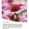 image:imageBurpee Wildflower 25000 Bulk 1 Bag 18 Varieties of NonGMO Flower Seeds Pollinator Garden Pollinator MixPollinator Mix
