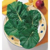 image:imageBurpee Zen Hybrid Greens Seeds 150 seeds