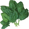 image:imageBurpee A La Carte Hybrid Spinach Seeds 300 seedsOrganic Bloomsdale