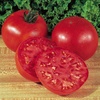 image:imageBurpee Big Boy Tomato Seeds 125 seeds125 seeds