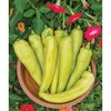 Blazing Banana