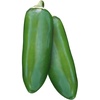 Jalapeno Gigante