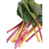 image:imageBurpee Bright Lights Blend Swiss Chard Seeds 100 seeds