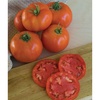 Super Beefsteak