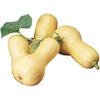 image:imageBurpee Buttercup Burgess Strain Winter Squash Seeds 30 seedsBush Butternut