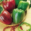 image:imageBurpee California Wonder Organic Sweet Pepper Seeds 300 seeds
