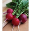 image:imageBurpee Cherry Belle Radish Seeds 1000 seedsCherry Belle Radish