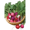 image:imageBurpee Cherry Belle Radish Seeds 1000 seedsCooks Custom Blend Radish