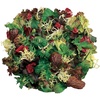 image:imageBurpee Classic Mix Mesclun Seeds 1500 seeds
