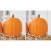image:imageBurpee Connecticut Pumpkin Seeds 50 seedsJack O Lantern Pumpkin