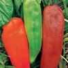 image:imageBurpee Corno di Toro Rosso Sweet Pepper Seeds 75 seedsCorno di Toro