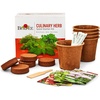 image:imageBurpee Culinary Garden Starter Kit Packets 5 Pots 5 Coir Pellets amp 5 Plant Markers NonGMO Herb Seeds Cilantro Dill Parsley Sweet Basil amp ChivesHerb Starter Kit