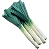 image:imageBurpee Dawn Giant Leek Seeds 500 seeds