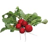 image:imageBurpee Early Scarlet Globe Radish Seeds 300 seeds