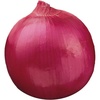 image:imageBurpee Evergreen Long White Bunching Onion Seeds 2000 seedsRed Creole