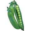 image:imageBurpee Garden Sweet Pea Seeds 200 seedsEasy Peasy